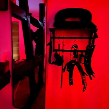 Le Fruit Defendu 67 Love hotel